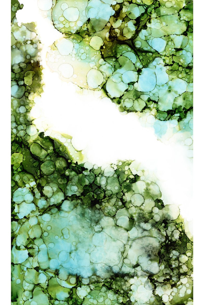 Pond